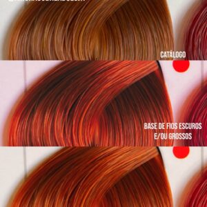 Coloração Igora Royal 8-77 Louro Claro Cobre Extra - leocosmeticos