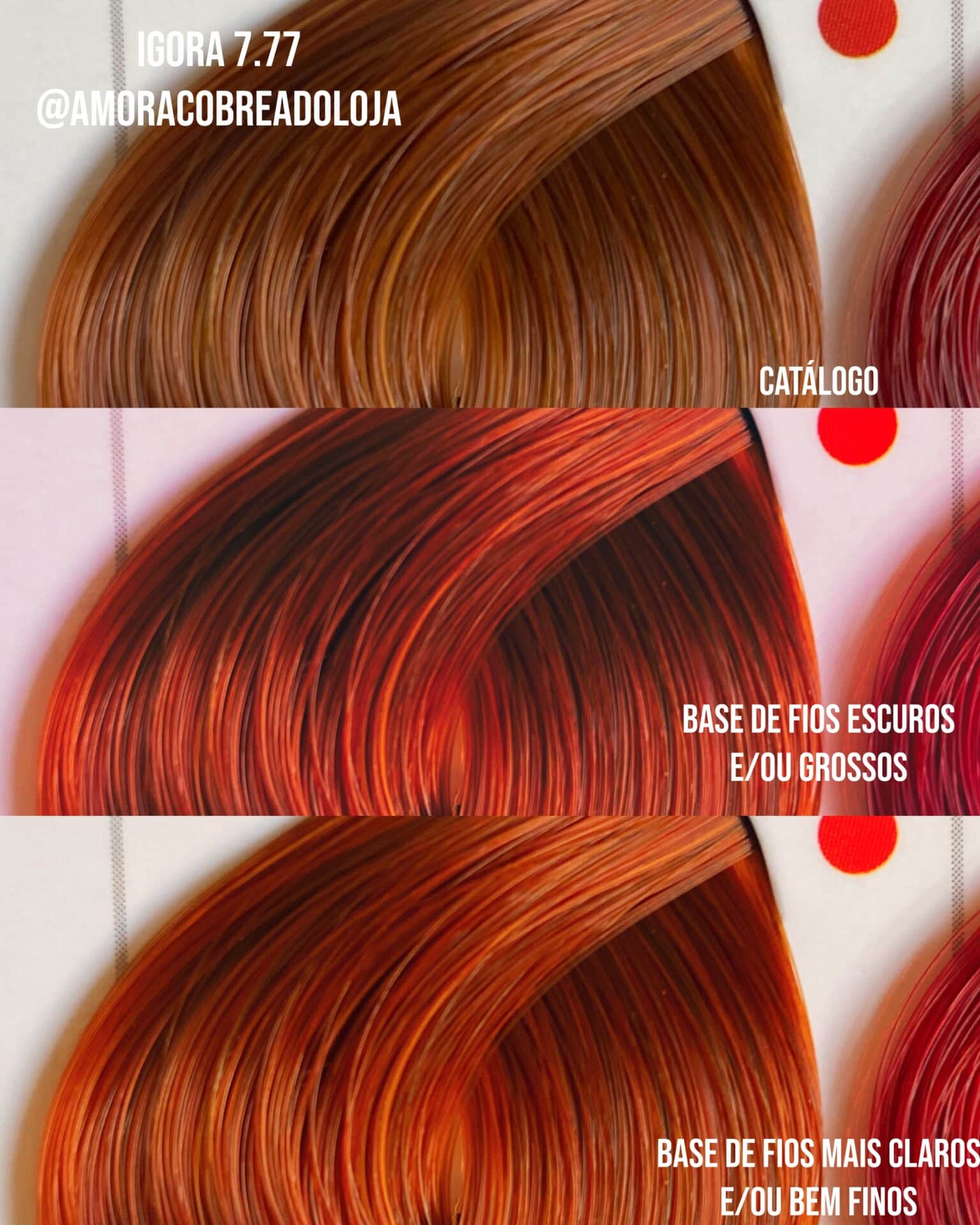 Cores lindas de IGORA ROYAL . . . #igora #igoraroyal #igora877 #coloração  #coloraçãoruiva #cabeloruivo #ruivice #ruiva #rui…