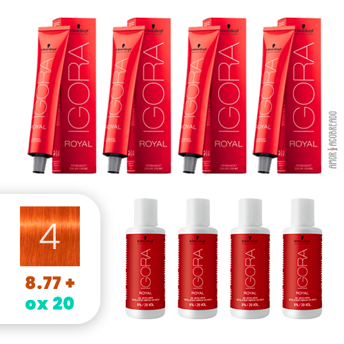 Igora Royal Kit para Coloração 2 Unidades - 8.77 Louro Claro Cobre Extra -  Igora Royal Kit para Coloração 2 Unidades - 8.77 Louro Claro Cobre Extra